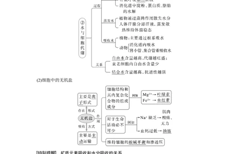 2023年高考生物一轮复习（全国版）第1单元第2课时　细胞中的无机物、糖类和脂质_通用版（老高考）复习资料_2023年复习资料_一轮复习_2023年高考生物一轮复习讲义+课件（全国版）