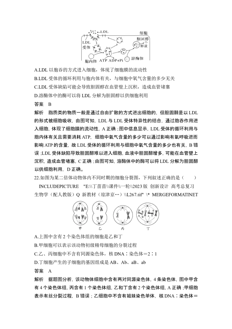 模块检测卷（一）_2024年新高考资料_1.2024一轮复习_2024年高考生物一轮复习讲义（新人教版）_另附1套Word版题库