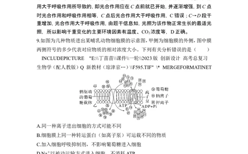 模块检测卷（一）_2024年新高考资料_1.2024一轮复习_2024年高考生物一轮复习讲义（新人教版）_另附1套Word版题库