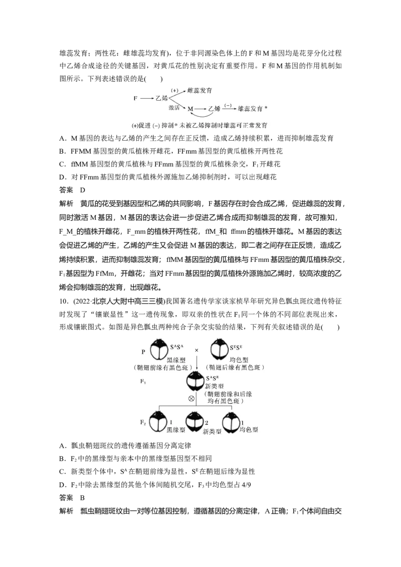 2023年高考生物二轮复习（全国版）第1篇专题突破专题4专题强化练_通用版（老高考）复习资料_2023年复习资料_二轮复习_2023年高考生物二轮复习讲义+课件（全国版）