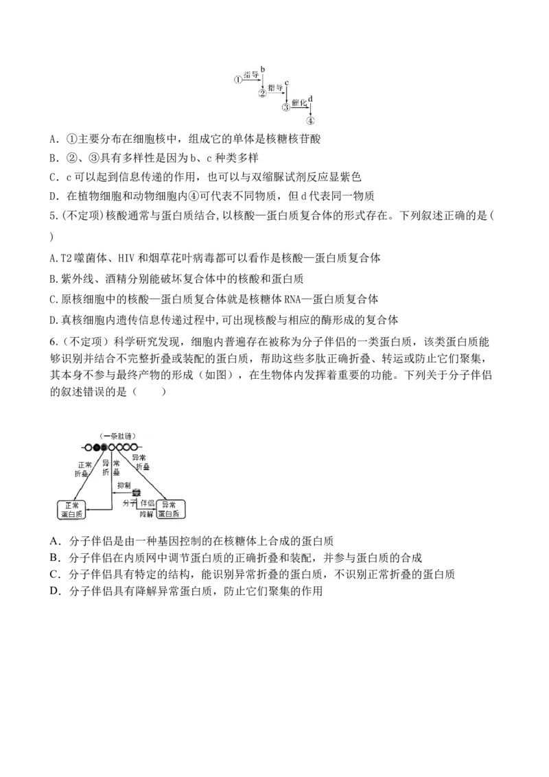 第01讲细胞中的元素和化合物（讲义）原卷版_2024年新高考资料_2.2024二轮复习_2024年高考生物二轮复习讲练测（新教材新高考）