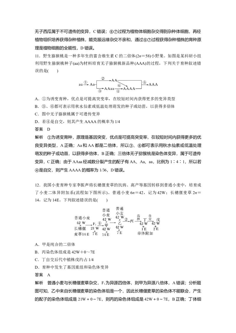 2023年高考生物一轮复习（新人教新高考）第7单元第3课时　生物变异在育种上的应用_新高考复习资料_2023年新高考复习资料_一轮复习_2023年新高考大一轮复习讲义