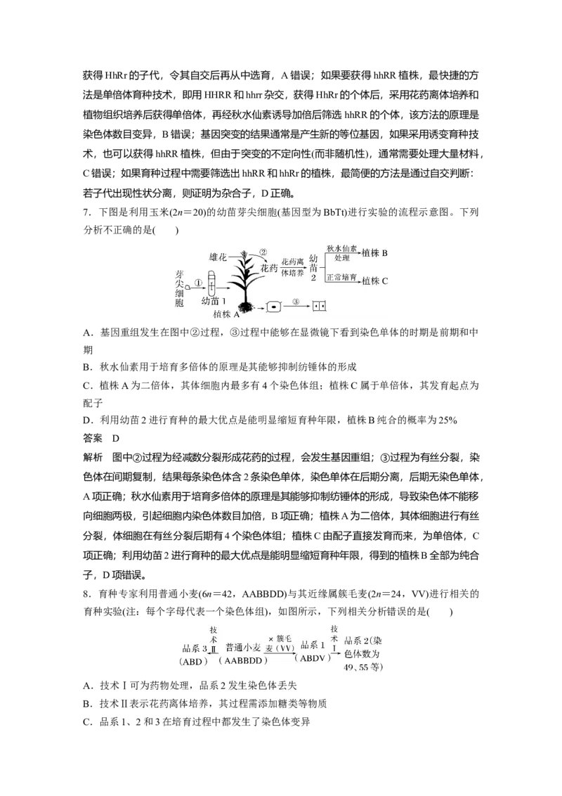 2023年高考生物一轮复习（新人教新高考）第7单元第3课时　生物变异在育种上的应用_新高考复习资料_2023年新高考复习资料_一轮复习_2023年新高考大一轮复习讲义