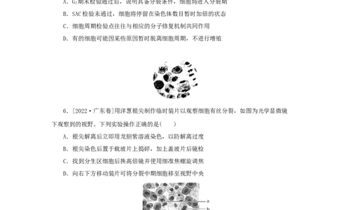 2023版新教材高考生物微专题小练习专练31细胞的增殖202208091197_通用版（老高考）复习资料_2023年复习资料_一轮复习_2023届高考生物一轮微专题100练