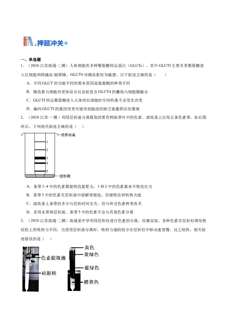 押江苏卷选择题细胞的能量供应和利用（原卷版）_2024年新高考资料_5.2024三轮冲刺_备战2024年高考生物临考题号押题（江苏专用）322855714