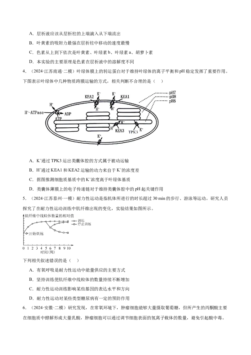 押江苏卷选择题细胞的能量供应和利用（原卷版）_2024年新高考资料_5.2024三轮冲刺_备战2024年高考生物临考题号押题（江苏专用）322855714