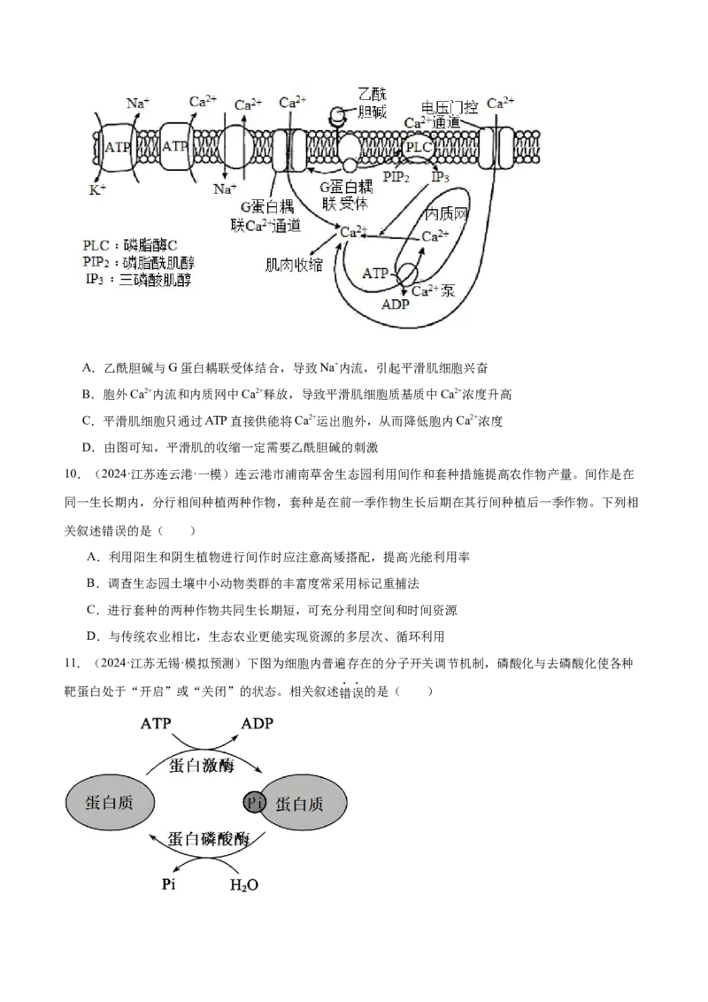 押江苏卷选择题细胞的能量供应和利用（原卷版）_2024年新高考资料_5.2024三轮冲刺_备战2024年高考生物临考题号押题（江苏专用）322855714