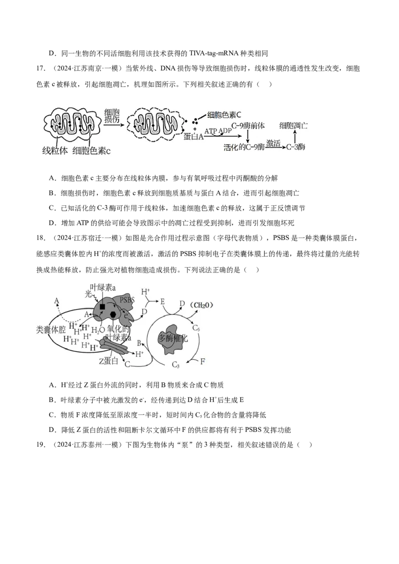 押江苏卷选择题细胞的能量供应和利用（原卷版）_2024年新高考资料_5.2024三轮冲刺_备战2024年高考生物临考题号押题（江苏专用）322855714