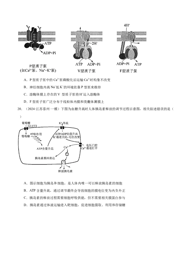 押江苏卷选择题细胞的能量供应和利用（原卷版）_2024年新高考资料_5.2024三轮冲刺_备战2024年高考生物临考题号押题（江苏专用）322855714