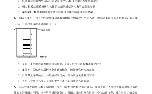 押江苏卷选择题细胞的能量供应和利用（原卷版）_2024年新高考资料_5.2024三轮冲刺_备战2024年高考生物临考题号押题（江苏专用）322855714