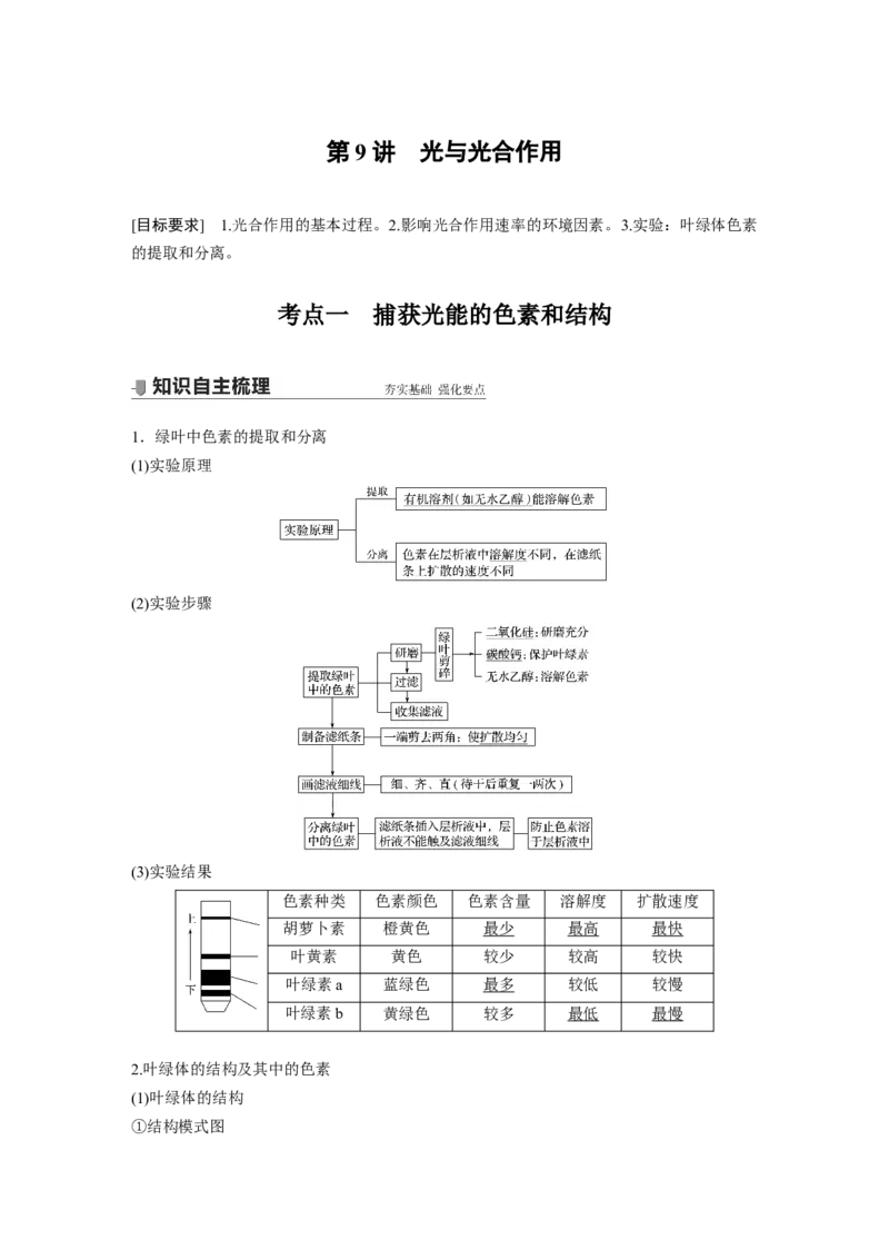2022年高考生物一轮复习第3单元第9讲　光与光合作用_新高考复习资料_2022年新高考复习资料_2022年一轮复习最新版_1.2022年高考生物一轮复习全国通用版