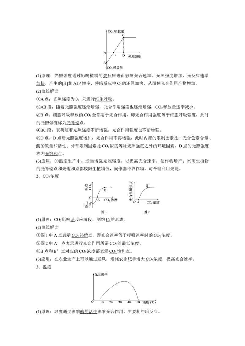 2022年高考生物一轮复习第3单元第9讲　光与光合作用_新高考复习资料_2022年新高考复习资料_2022年一轮复习最新版_1.2022年高考生物一轮复习全国通用版