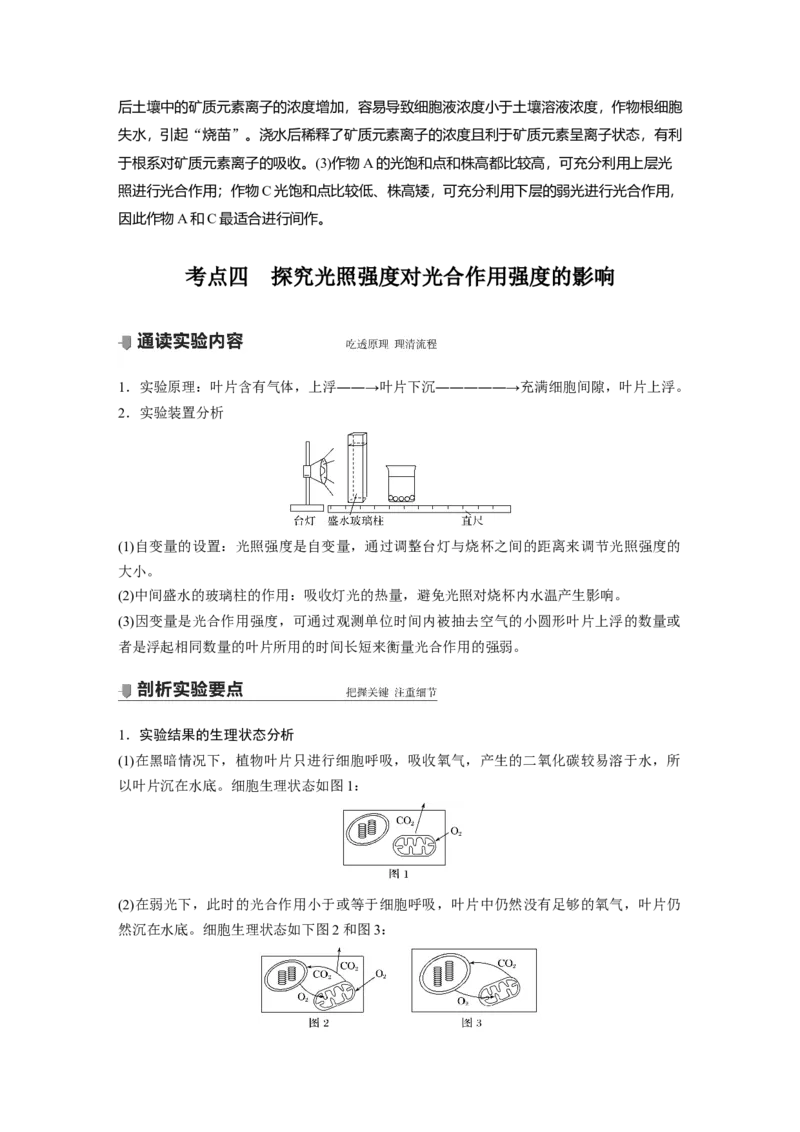 2022年高考生物一轮复习第3单元第9讲　光与光合作用_新高考复习资料_2022年新高考复习资料_2022年一轮复习最新版_1.2022年高考生物一轮复习全国通用版