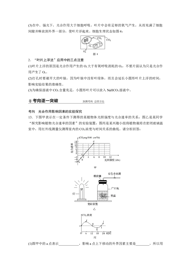 2022年高考生物一轮复习第3单元第9讲　光与光合作用_新高考复习资料_2022年新高考复习资料_2022年一轮复习最新版_1.2022年高考生物一轮复习全国通用版