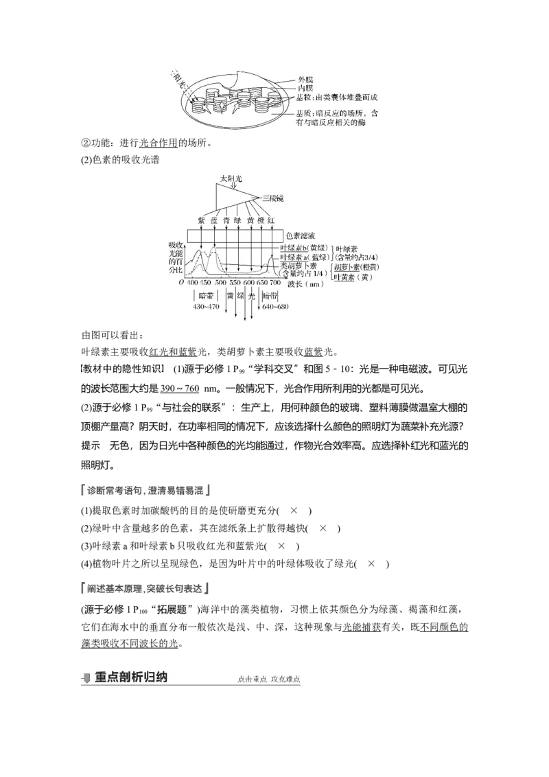 2022年高考生物一轮复习第3单元第9讲　光与光合作用_新高考复习资料_2022年新高考复习资料_2022年一轮复习最新版_1.2022年高考生物一轮复习全国通用版