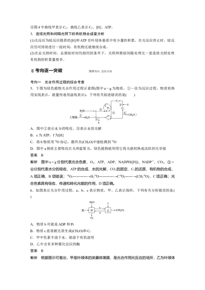 2022年高考生物一轮复习第3单元第9讲　光与光合作用_新高考复习资料_2022年新高考复习资料_2022年一轮复习最新版_1.2022年高考生物一轮复习全国通用版