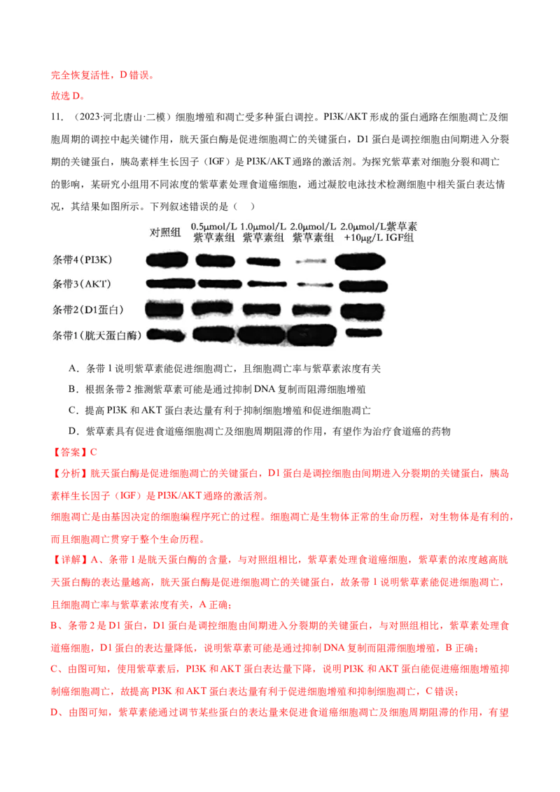 押江苏卷选择题细胞的生命历程（解析版）_2024年新高考资料_5.2024三轮冲刺_备战2024年高考生物临考题号押题（江苏专用）322855714