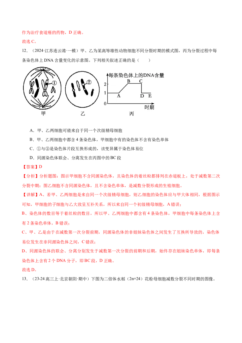 押江苏卷选择题细胞的生命历程（解析版）_2024年新高考资料_5.2024三轮冲刺_备战2024年高考生物临考题号押题（江苏专用）322855714