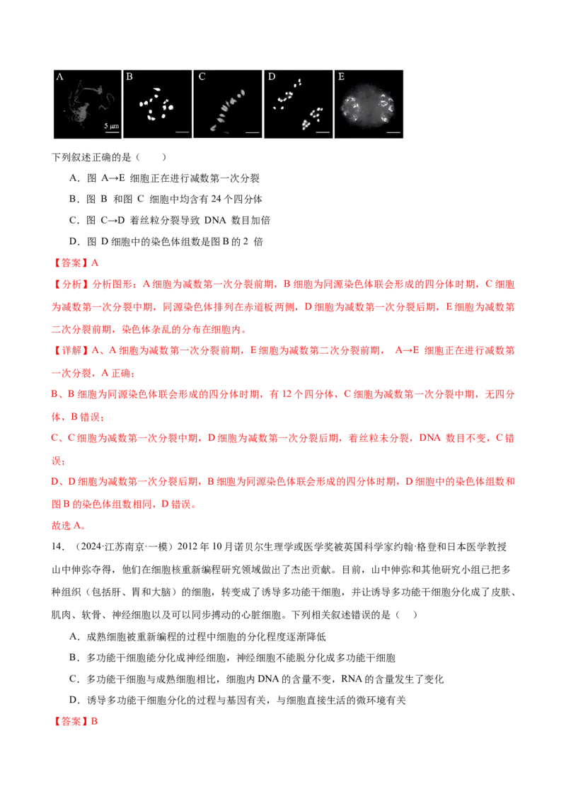 押江苏卷选择题细胞的生命历程（解析版）_2024年新高考资料_5.2024三轮冲刺_备战2024年高考生物临考题号押题（江苏专用）322855714