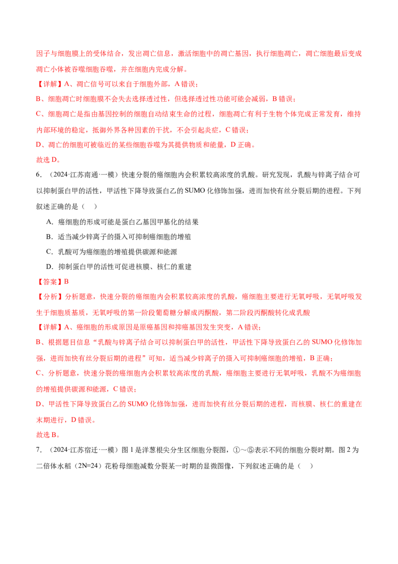 押江苏卷选择题细胞的生命历程（解析版）_2024年新高考资料_5.2024三轮冲刺_备战2024年高考生物临考题号押题（江苏专用）322855714