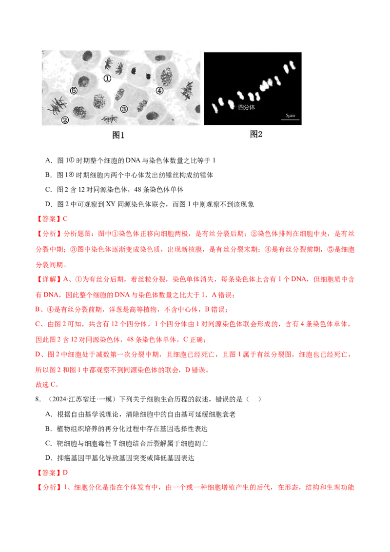 押江苏卷选择题细胞的生命历程（解析版）_2024年新高考资料_5.2024三轮冲刺_备战2024年高考生物临考题号押题（江苏专用）322855714