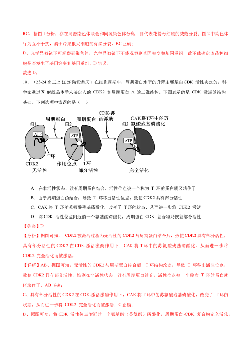 押江苏卷选择题细胞的生命历程（解析版）_2024年新高考资料_5.2024三轮冲刺_备战2024年高考生物临考题号押题（江苏专用）322855714