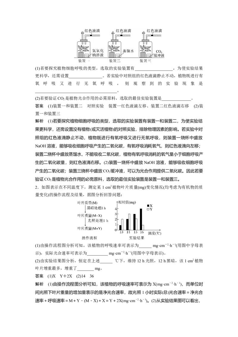 2023年高考生物二轮复习（全国版）第1篇专题突破专题2考点五　光合作用与细胞呼吸速率的测定与分析_通用版（老高考）复习资料_2023年复习资料_二轮复习