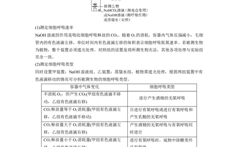 2023年高考生物二轮复习（全国版）第1篇专题突破专题2考点五　光合作用与细胞呼吸速率的测定与分析_通用版（老高考）复习资料_2023年复习资料_二轮复习