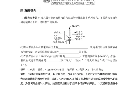 2023年高考生物二轮复习（全国版）第1篇专题突破专题2考点五　光合作用与细胞呼吸速率的测定与分析_通用版（老高考）复习资料_2023年复习资料_二轮复习