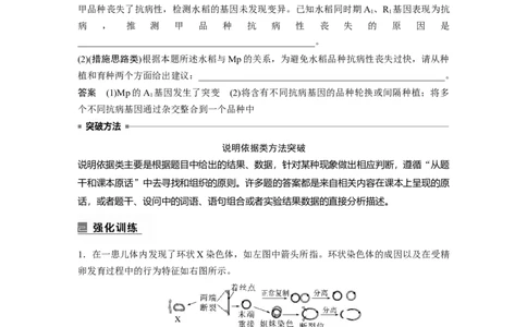 2023年高考生物二轮复习（全国版）第1篇专题突破专题5语言表达(四)　变异类型的确定_通用版（老高考）复习资料_2023年复习资料_二轮复习_2023年高考生物二轮复习讲义+课件（全国版）