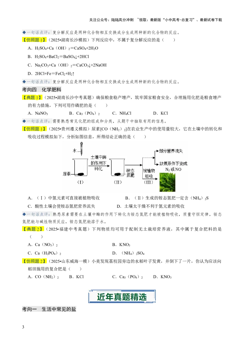 专题07常见的盐和化肥（原卷版）_02中考总复习（2026版更新中）_05-化学-中考总复习_2026年中考复习（更新中）_备战2026年中考化学真题题源解密
