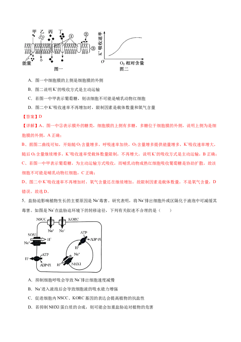 第02讲细胞的基本结构、功能与物质进出细胞的方式（练习）（解析版）_2024年新高考资料_2.2024二轮复习_2024年高考生物二轮复习讲练测（新教材新高考）