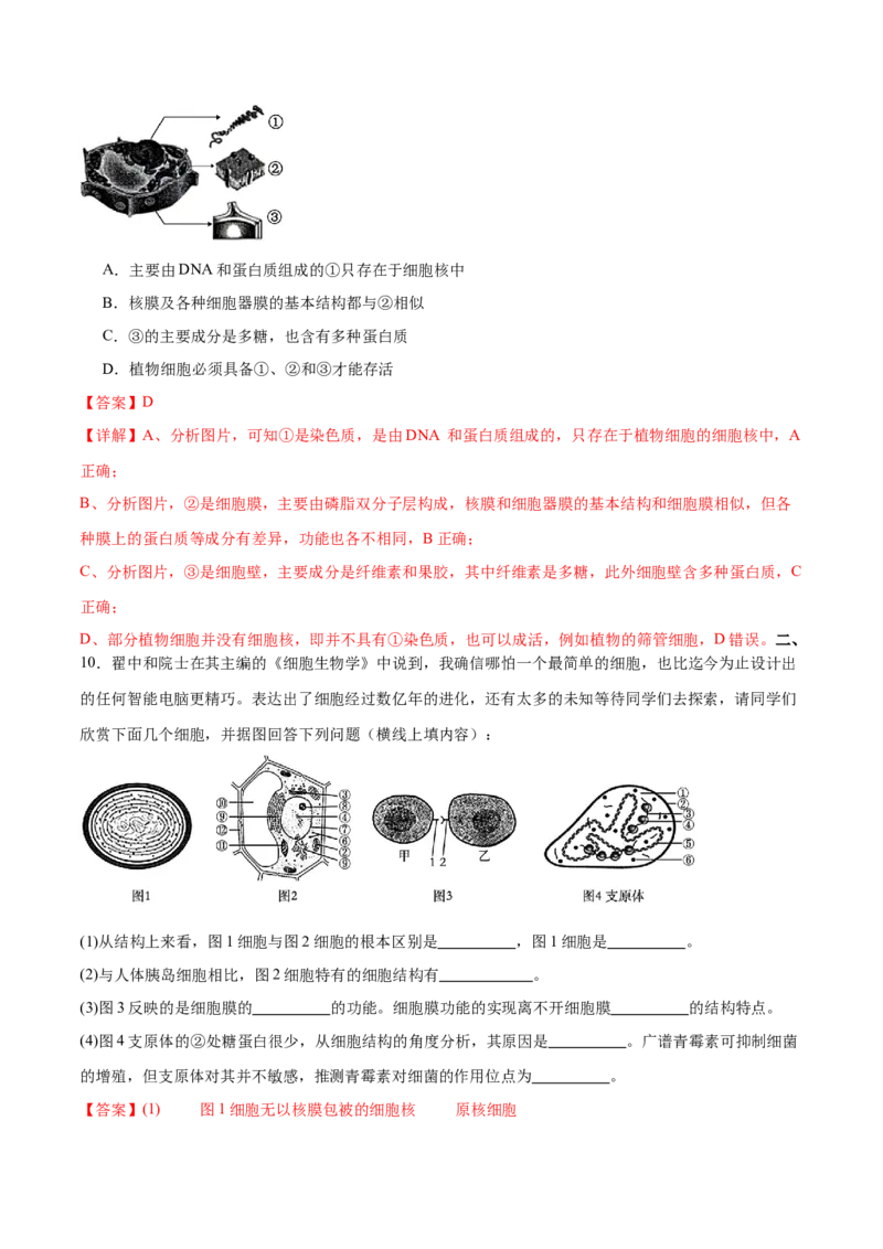 第02讲细胞的基本结构、功能与物质进出细胞的方式（练习）（解析版）_2024年新高考资料_2.2024二轮复习_2024年高考生物二轮复习讲练测（新教材新高考）