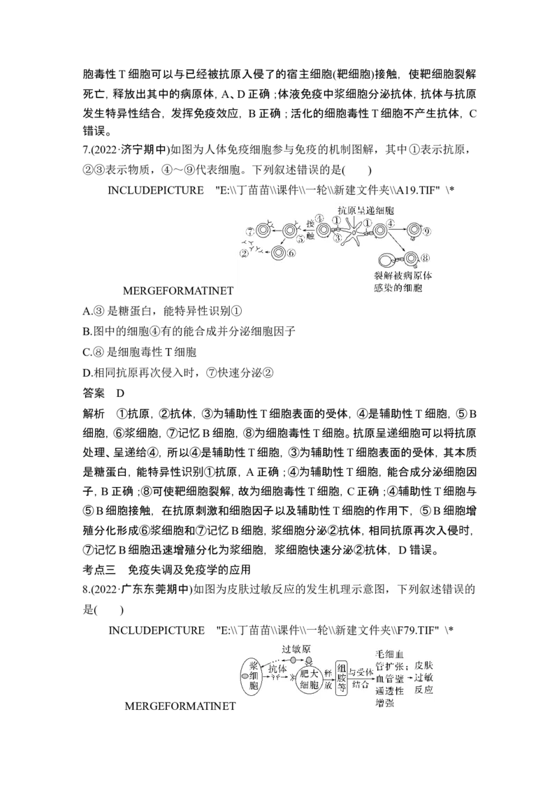 热点微练17艾滋病与疫苗(尖子生特训)_2024年新高考资料_1.2024一轮复习_2024年高考生物一轮复习讲义（新人教版）_另附1套Word版题库_选择性必修1_第八单元稳态与调节