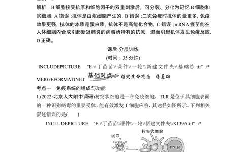 热点微练17艾滋病与疫苗(尖子生特训)_2024年新高考资料_1.2024一轮复习_2024年高考生物一轮复习讲义（新人教版）_另附1套Word版题库_选择性必修1_第八单元稳态与调节