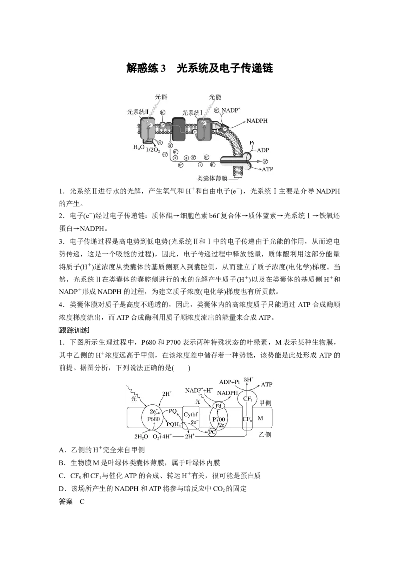 2023年高考生物一轮复习（新人教新高考）第3单元解惑练3　光系统及电子传递链_新高考复习资料_2023年新高考复习资料_一轮复习_2023年新高考大一轮复习讲义