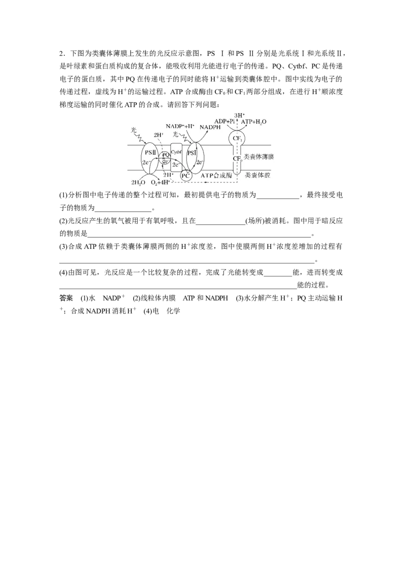 2023年高考生物一轮复习（新人教新高考）第3单元解惑练3　光系统及电子传递链_新高考复习资料_2023年新高考复习资料_一轮复习_2023年新高考大一轮复习讲义