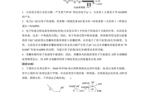 2023年高考生物一轮复习（新人教新高考）第3单元解惑练3　光系统及电子传递链_新高考复习资料_2023年新高考复习资料_一轮复习_2023年新高考大一轮复习讲义
