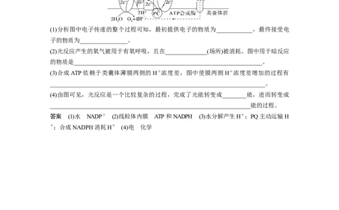 2023年高考生物一轮复习（新人教新高考）第3单元解惑练3　光系统及电子传递链_新高考复习资料_2023年新高考复习资料_一轮复习_2023年新高考大一轮复习讲义