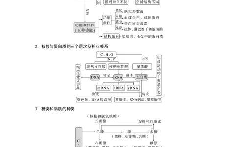 2023年高考生物二轮复习（全国版）第1篇专题突破专题1考点2　细胞中的有机物_通用版（老高考）复习资料_2023年复习资料_二轮复习_2023年高考生物二轮复习讲义+课件（全国版）