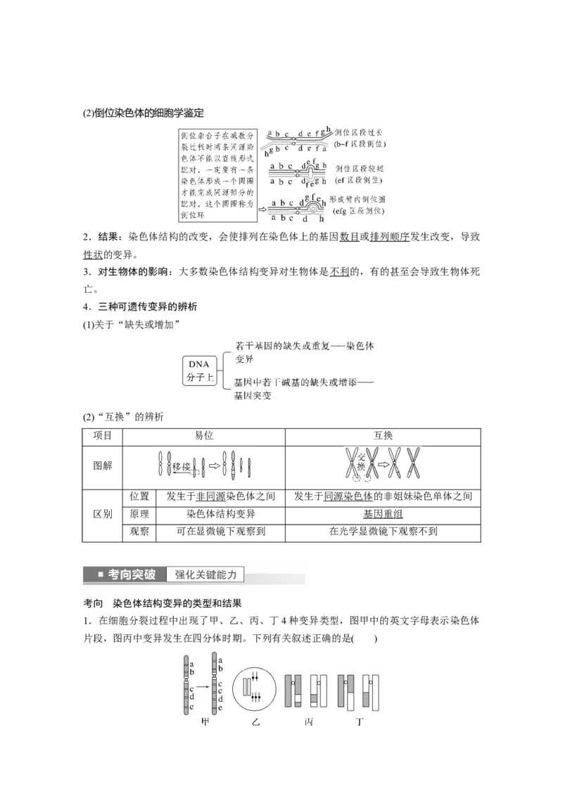 2023年高考生物一轮复习（全国版）第7单元第2课时　染色体变异_通用版（老高考）复习资料_2023年复习资料_一轮复习_2023年高考生物一轮复习讲义+课件（全国版）