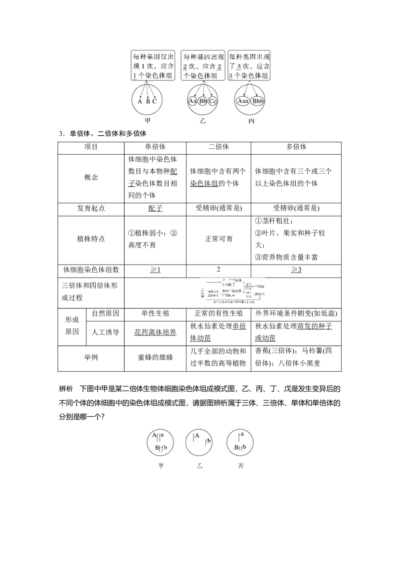 2023年高考生物一轮复习（全国版）第7单元第2课时　染色体变异_通用版（老高考）复习资料_2023年复习资料_一轮复习_2023年高考生物一轮复习讲义+课件（全国版）