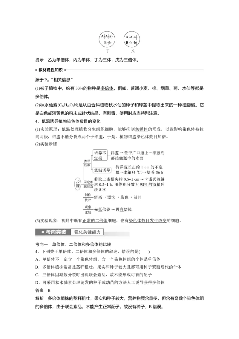 2023年高考生物一轮复习（全国版）第7单元第2课时　染色体变异_通用版（老高考）复习资料_2023年复习资料_一轮复习_2023年高考生物一轮复习讲义+课件（全国版）