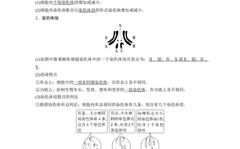 2023年高考生物一轮复习（全国版）第7单元第2课时　染色体变异_通用版（老高考）复习资料_2023年复习资料_一轮复习_2023年高考生物一轮复习讲义+课件（全国版）