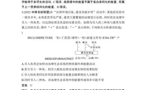 热点微练20生态系统的功能(尖子生特训)_2024年新高考资料_1.2024一轮复习_2024年高考生物一轮复习讲义（新人教版）_另附1套Word版题库_选择性必修2_第九单元生物与环境