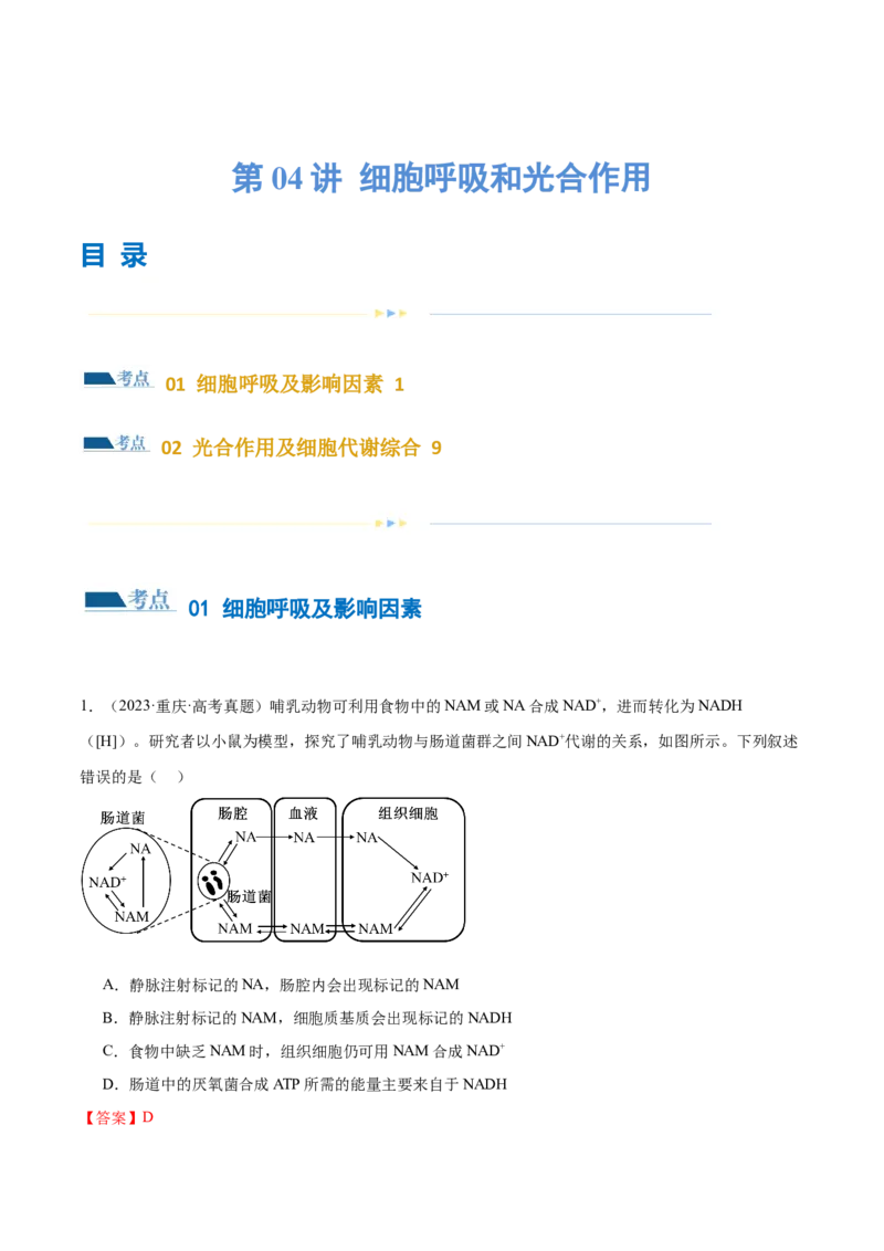 第04讲细胞呼吸和光合作用（练习）（解析版）_2024年新高考资料_2.2024二轮复习_2024年高考生物二轮复习讲练测（新教材新高考）