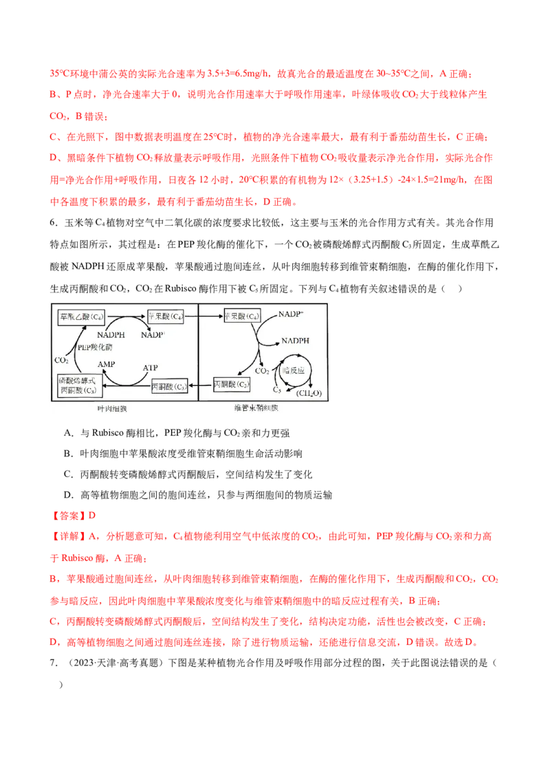 第04讲细胞呼吸和光合作用（练习）（解析版）_2024年新高考资料_2.2024二轮复习_2024年高考生物二轮复习讲练测（新教材新高考）