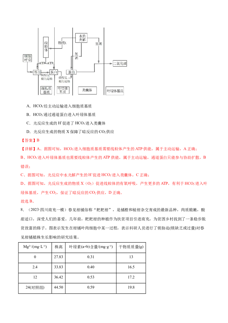 第04讲细胞呼吸和光合作用（练习）（解析版）_2024年新高考资料_2.2024二轮复习_2024年高考生物二轮复习讲练测（新教材新高考）