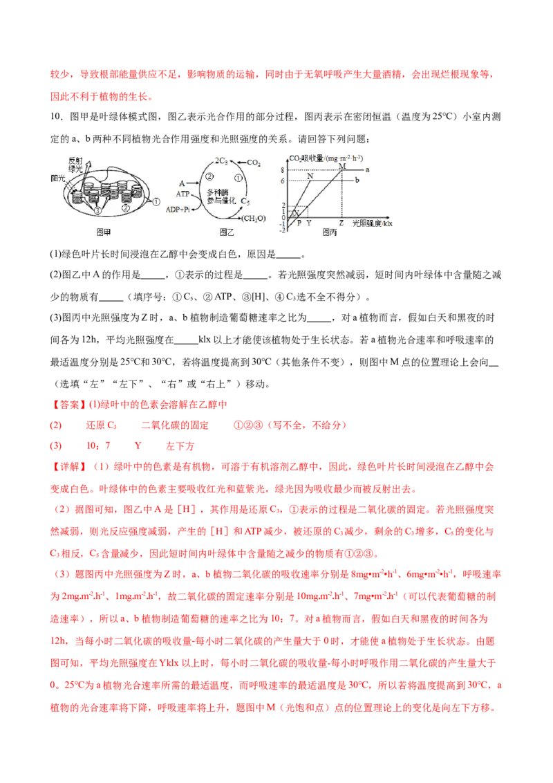 第04讲细胞呼吸和光合作用（练习）（解析版）_2024年新高考资料_2.2024二轮复习_2024年高考生物二轮复习讲练测（新教材新高考）