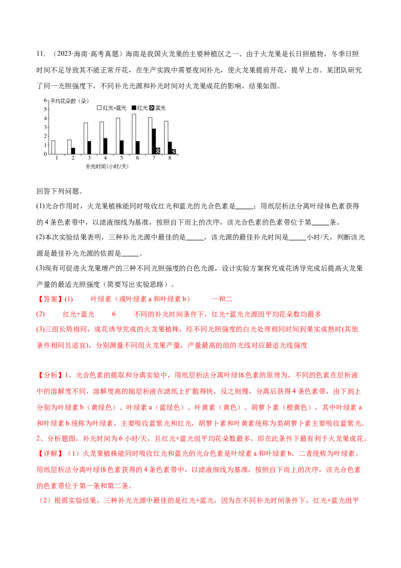 第04讲细胞呼吸和光合作用（练习）（解析版）_2024年新高考资料_2.2024二轮复习_2024年高考生物二轮复习讲练测（新教材新高考）
